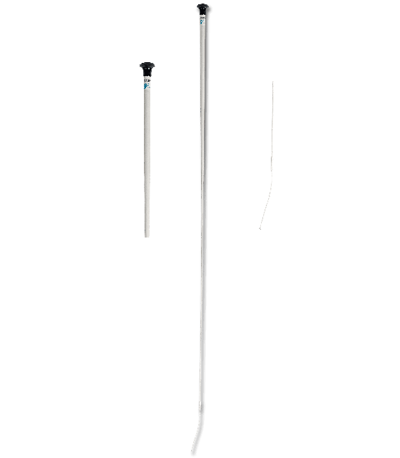 Linda Tellington Jones Gerte