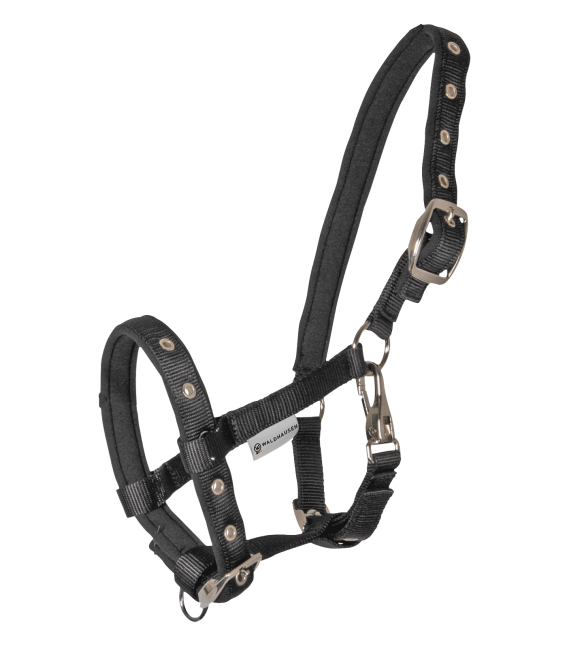 Fohlenhalfter Comfort