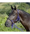 Knotenhalfter mit Zügel